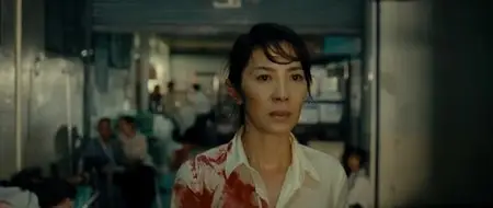 The Lady (2011)