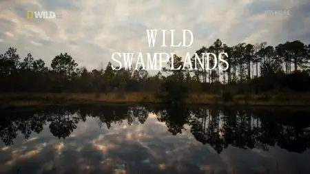National Geographic - Wild Swamplands (2013)