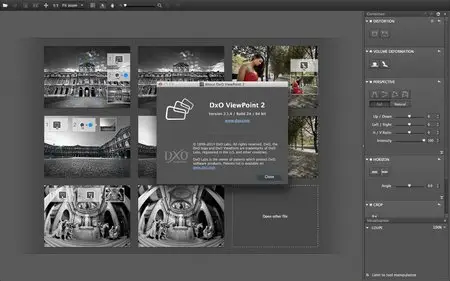 DxO ViewPoint 2.1.4 Build 24