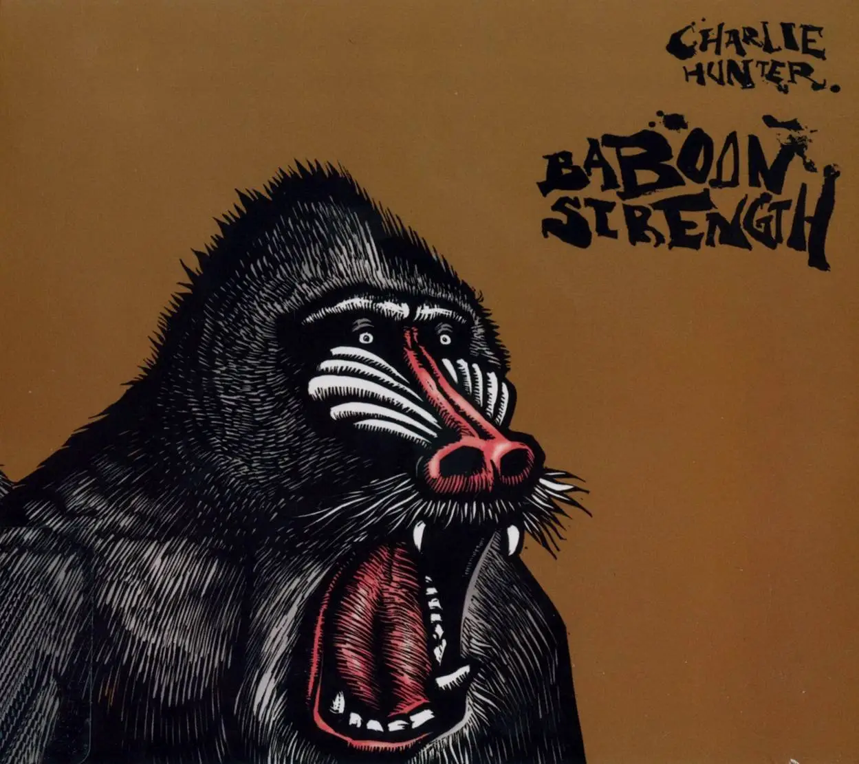 Charlie Hunter Baboon Strength (2008) {Spire Artist