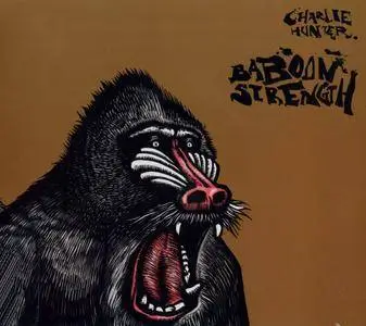 Charlie Hunter - Baboon Strength (2008) {Spire Artist Media 1689-29841-2}