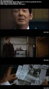 Rain Fall (2009)