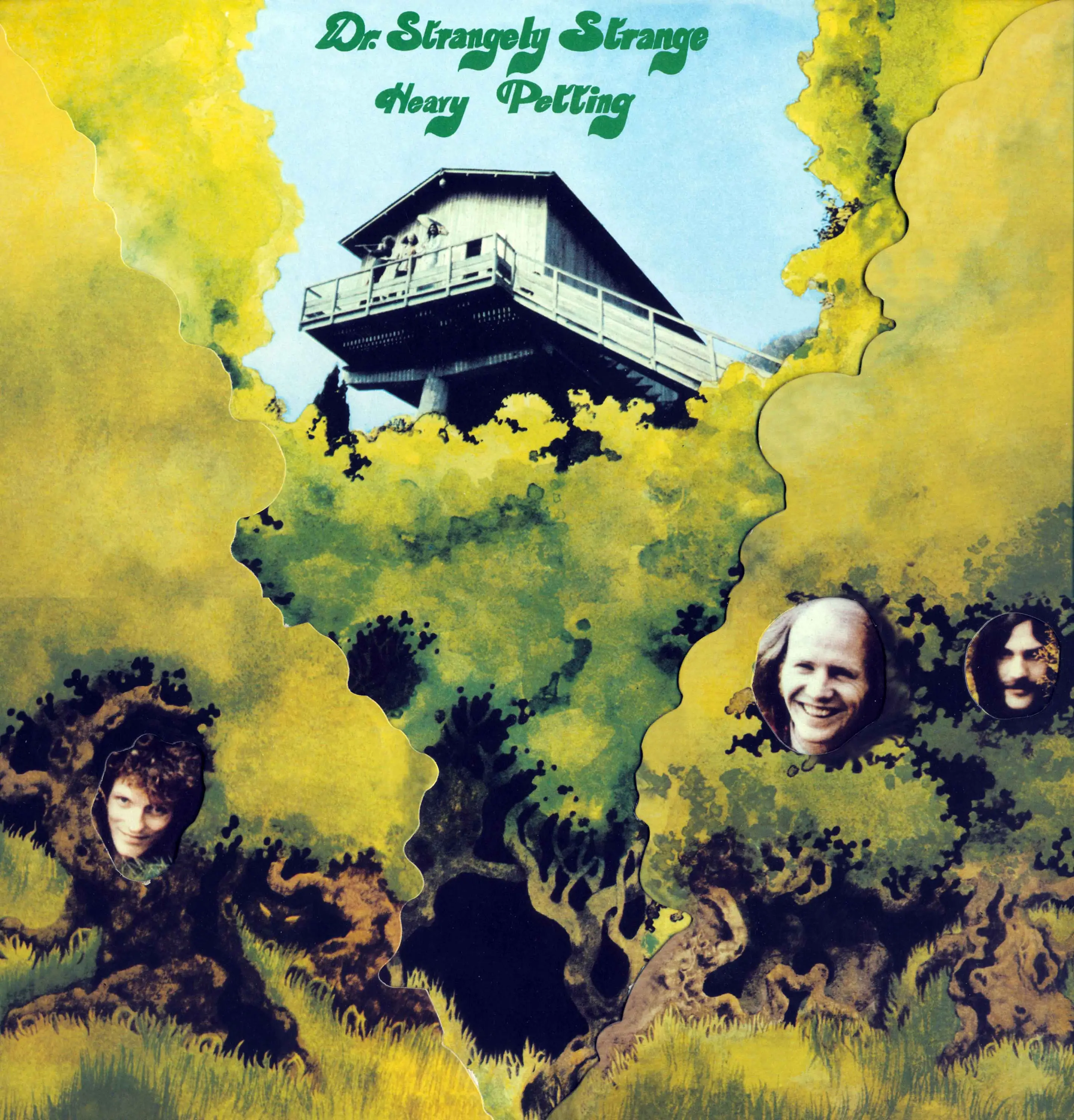 Dr. Strangely Strange - Heavy Petting (Vertigo 1970) 24-bit 96kHz Vinyl Rip