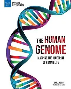 The Human Genome: Mapping the Blueprint of Human Life