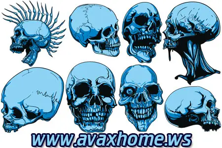 Vector - Skulls