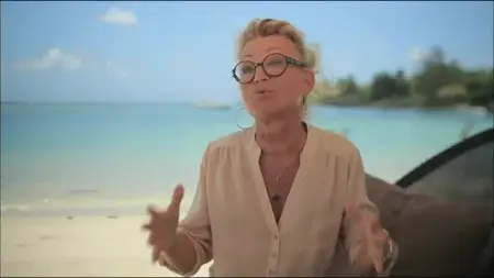(Fr3) Sheila, l'histoire d'une vie (2013)