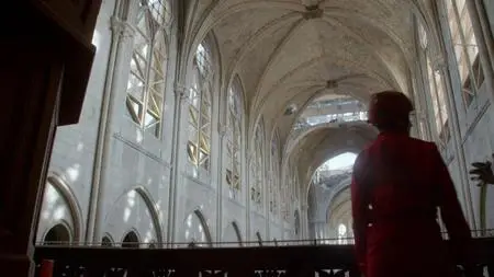 PBS - NOVA: Saving Notre Dame (2020)