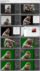 video2brain - Especial Photoshop: Selecciones