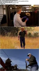 Food, Inc. (2008)
