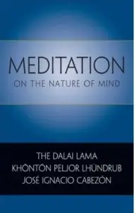 Meditation on the Nature of Mind