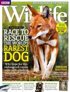 BBC Wildlife Magazine – November 2012