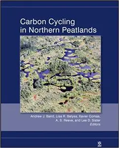 Carbon Cycling in Northern Peatlands (Repost)