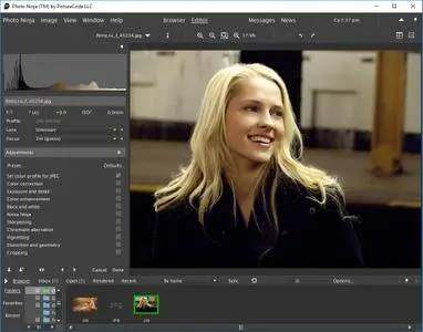 PictureCode Photo Ninja 1.3.5c (x86/x64) Portable