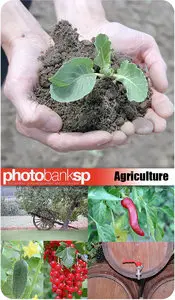 Stock Photos: Agriculture