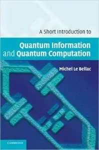 A Short Introduction to Quantum Information and Quantum Computation