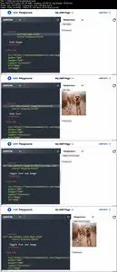 AMP - The Complete Course