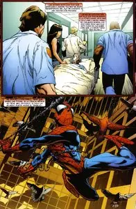 Spiderman: Un día mas (4/4)