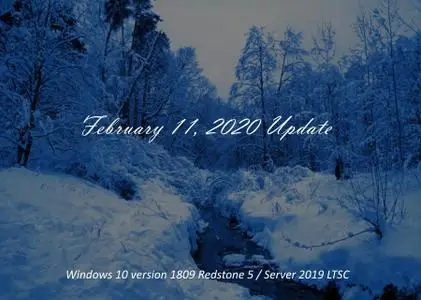 Windows 10 version 1809 / Server 2019 LTSC build 17763.1039