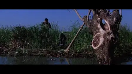 Eastern Condors (1987)