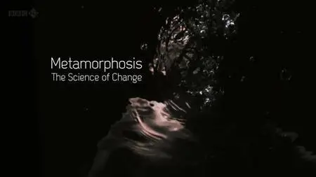 BBC - Metamorphosis: The Science of Change (2013)
