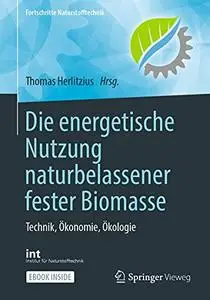 Die energetische Nutzung naturbelassener fester Biomasse: Technik, Ökonomie, Ökologie