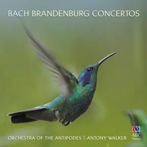 Antony Walker, Orchestra of the Antipodes - Bach: Brandenburg Concertos (2011)