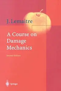 A Course on Damage Mechanics