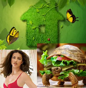 The Best Wallpapers pack №87 