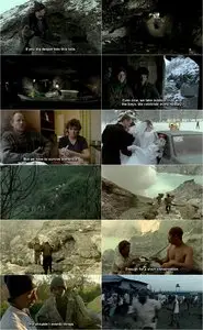Workingman's Death (2005)