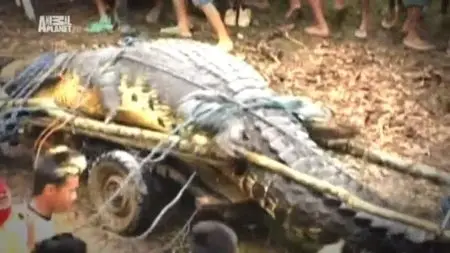 Discovery Channel - Man Eating Super Croc (2013)