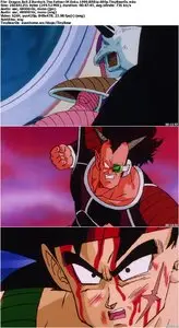 Dragon Ball Z: Bardock - The Father Of Goku (1990)