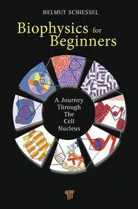 Biophysics for Beginners: A Journey through the Cell Nucleus