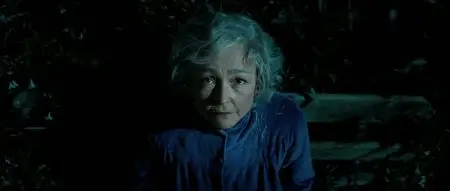 Le Vilain (2010)