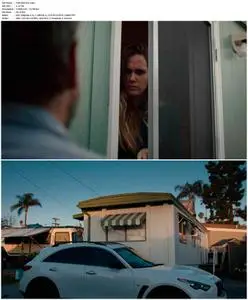 The Cleaner (2021)