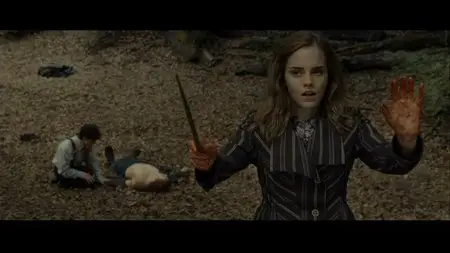 Harry Potter and the Deathly Hallows: Part 1 (2010)