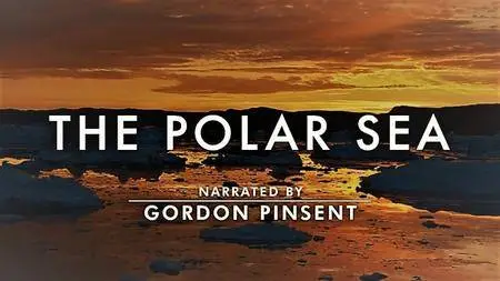 Primitive Entertainment - The Polar Sea: Series 1 (2014)