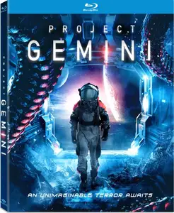 Project Gemini (2022)