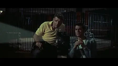 Trapeze (1956)