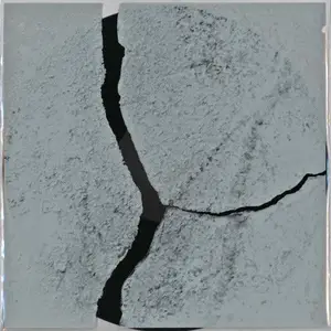 Simon Popp - Trio (2025) [Official Digital Download]