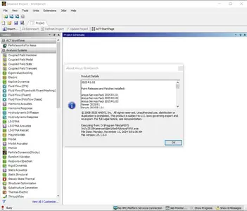 ANSYS Products+ 2025 R1.03 (SP3)
