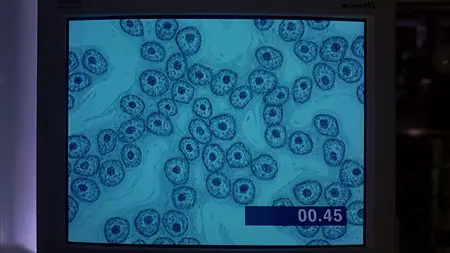 Outbreak (1995)