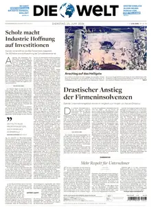 Die Welt - 25 Juni 2024