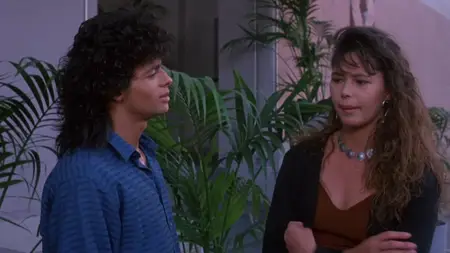 Salsa (1988)