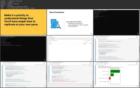 Black Box Model Explainability