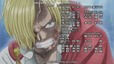 One Piece 809