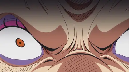 One Piece 809