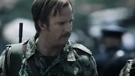Stander (2003)