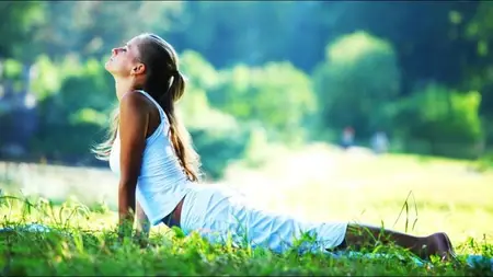 Hatha Yoga for Inner Growth: Core, Strength & Balance