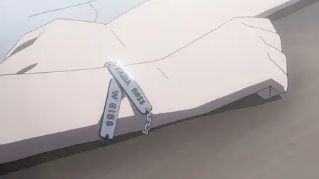 Fullmetal Alchemist Brotherhood 17