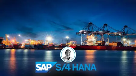 Using SAP Transportation Management Optimizer in S4 HANA
